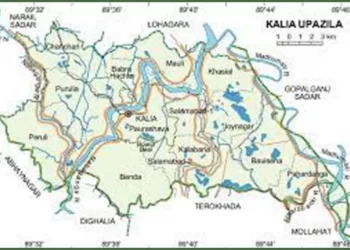 নড়াইলে হজরত মুহাম্মদ (সা.) সম্পর্কে কটূক্তির অভিযোগে আটক অনিমেষ