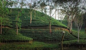 nice places to visit in sylhet
