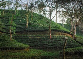 Popular places to visit in Sylhet 1 nice places to visit in sylhet